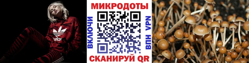 Псилоцибиновые грибы мицелий  Верхний Тагил 